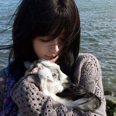寻宝囧途 在线观看