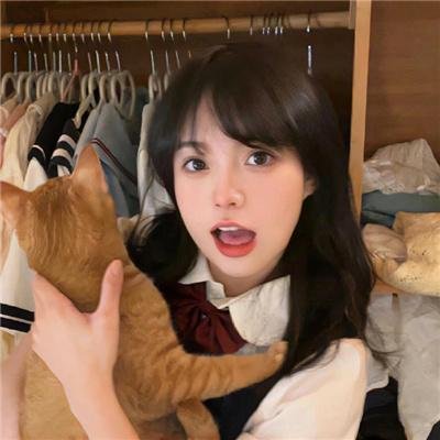 动物宝宝